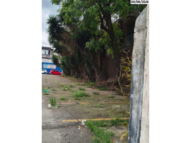 Galpão no Vila Moraes (foto 4 de 4)