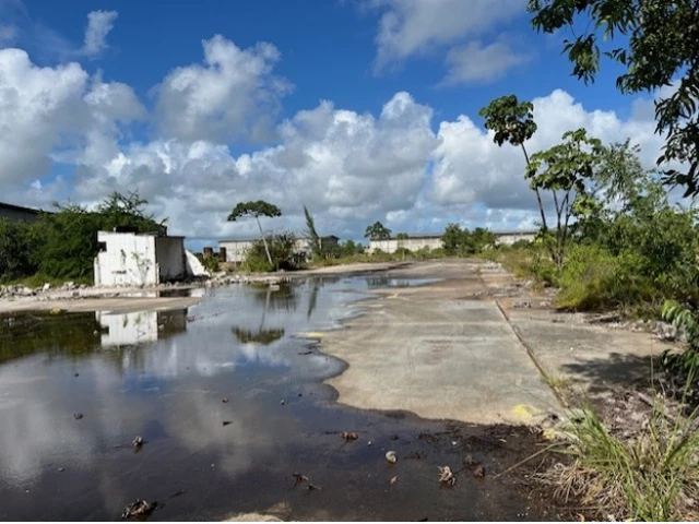 Terreno (foto 4 de 9)