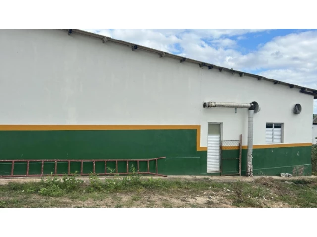 Gleba no Zona Rural (foto 4 de 10)