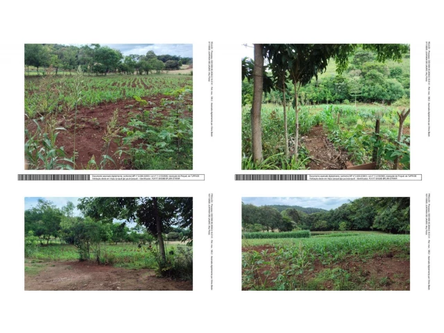 Imóvel Rural c/ 29.000m² - Santa Izabel do Oeste/PR
