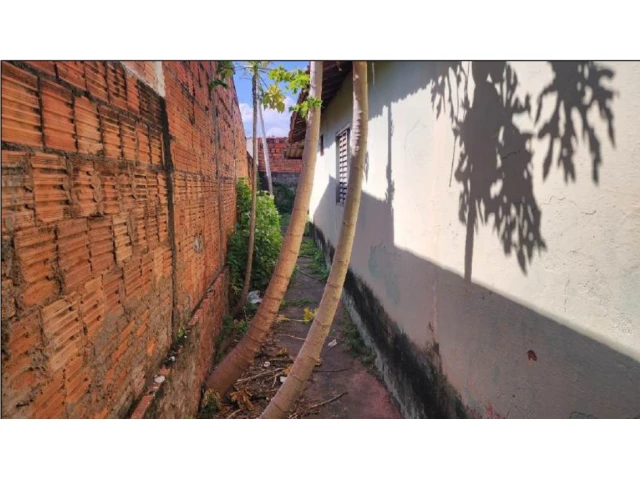 Casa com 4 quartos no Jardim Maravilha (foto 14 de 16)