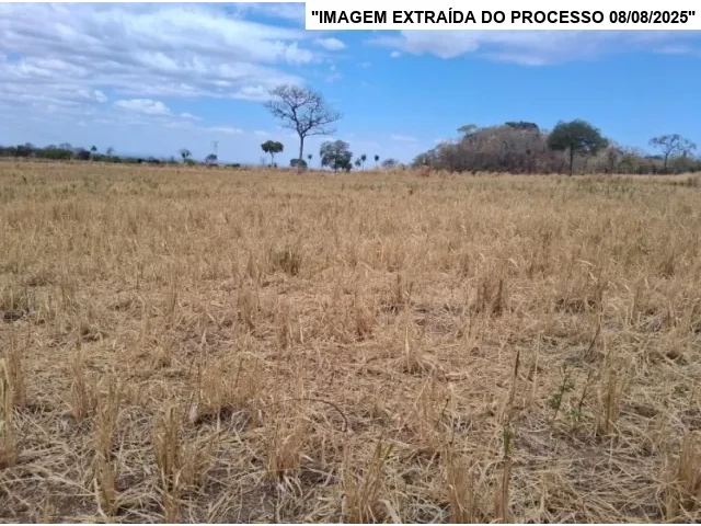 Gleba (foto 8 de 9)