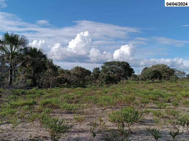 Parte ideal de fazenda c/ 60 hectares - Côcos/BA