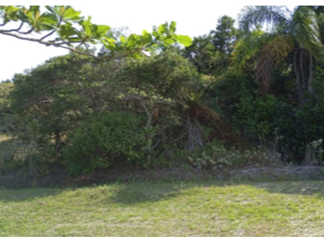 Terreno c/ 250m² - Ilha Comprida/SP