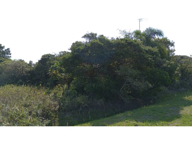 Terreno c/ 250m² - Ilha Comprida/SP