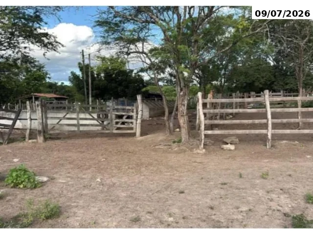 Gleba com 2 quartos no Olho D'Água do Pai Mané (foto 6 de 11)