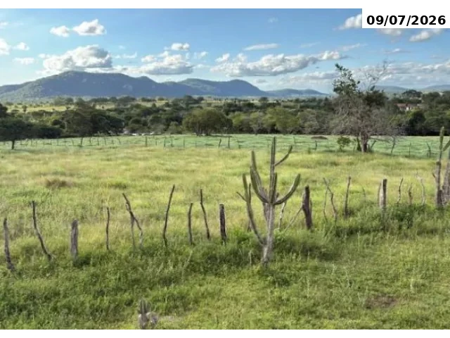 Gleba com 2 quartos no Olho D'Água do Pai Mané (foto 11 de 11)