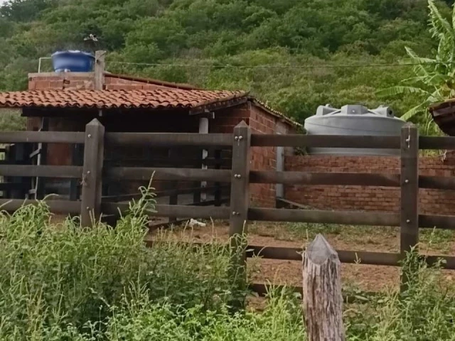 Sítio c/ 67,0351 ha - Pereiro/CE
