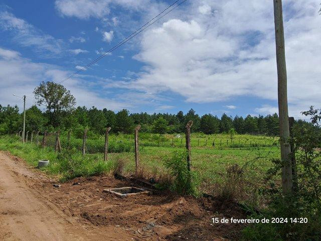 Terreno no Primavera (foto 5 de 8)