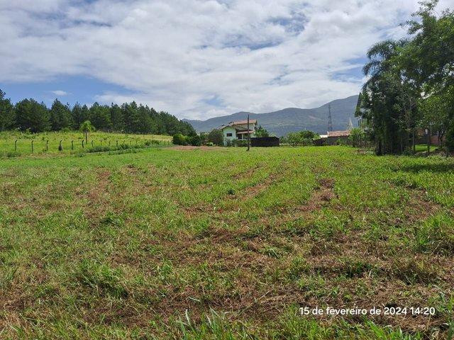 Terreno no Primavera (foto 6 de 8)