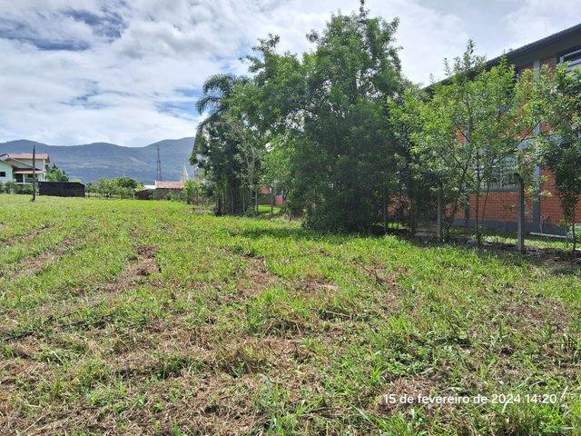 Terreno no Primavera (foto 7 de 8)
