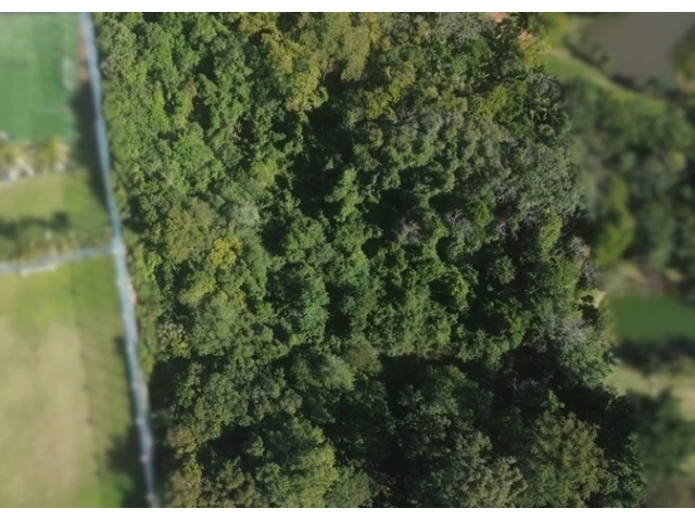 Terreno no Cavalhada (foto 6 de 8)