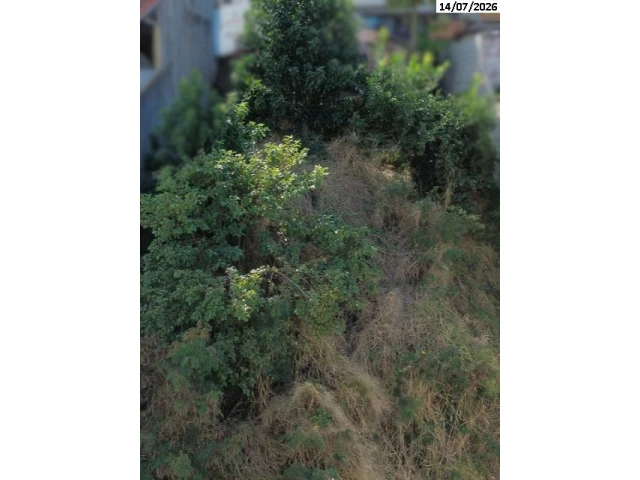 Terreno no Aquidaban (foto 3 de 9)