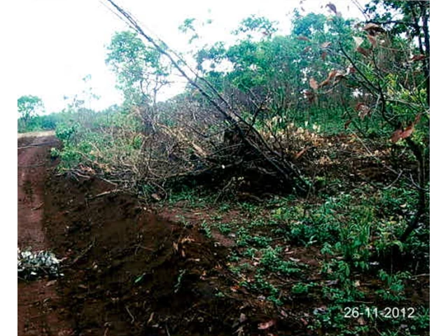 Gleba no Córrego da Faca (foto 10 de 22)