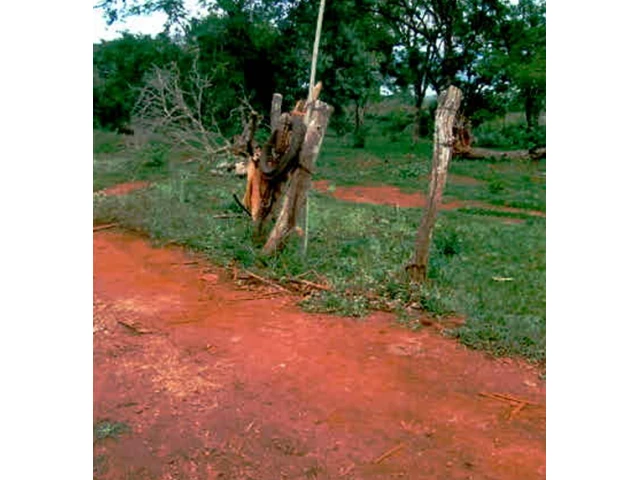 Gleba no Córrego da Faca (foto 19 de 22)