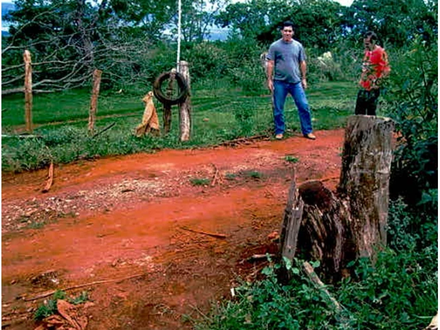 Gleba no Córrego da Faca (foto 20 de 22)