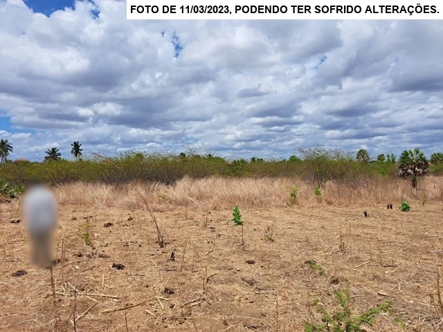 Terreno no Centro (foto 4 de 11)