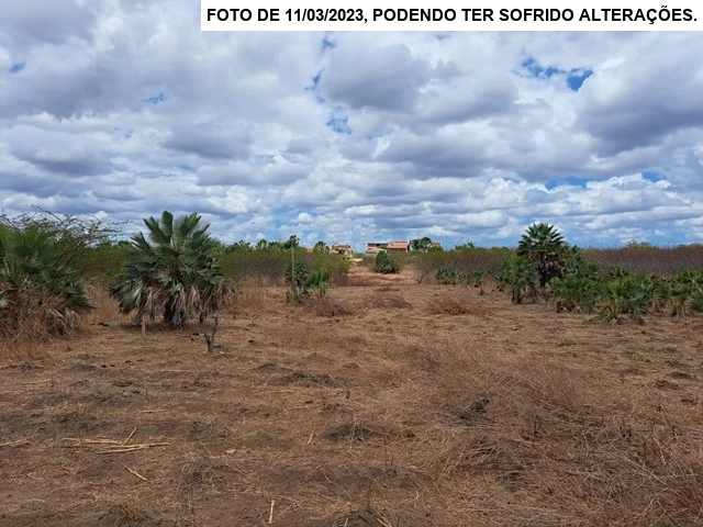Terreno no Centro (foto 8 de 11)