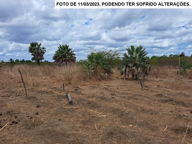Terreno no Centro (foto 9 de 11)
