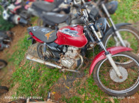 V_12386_908410_B.jpg