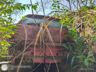V_12727_777790_H.jpg
