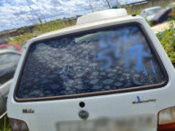 V_20133_970244_OP.jpg