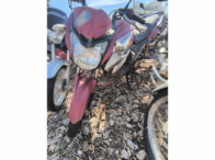 V_21192_414503_C.jpeg