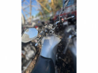 V_21204_414907_C.jpeg