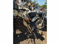 V_21214_416079_F.jpeg