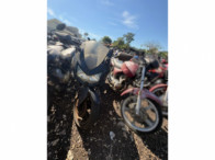 V_21217_416134_F.jpeg