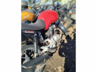V_21225_416684_C.jpeg