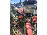V_21237_417194_A.jpeg