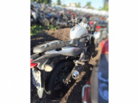 V_21238_417216_C.jpeg