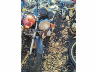 V_21245_417471_B.jpeg