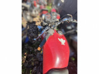 V_21258_417863_A.jpeg