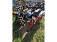 V_21275_420167_A.jpeg