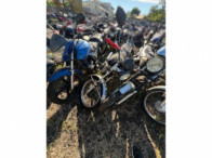 V_21277_420198_A.jpeg