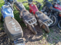 V_21305_421568_F.jpeg
