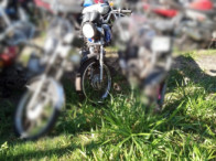 V_21305_421571_G.jpeg