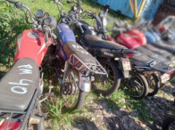 V_21309_421701_L.jpeg