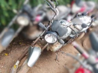 Foto de HONDA/CG 150 FAN ESI – 10/10 – Vargem Grande do Sul/SP