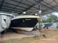 Miniatura 1 de Lancha - Armada Yachts 380 Gran Cabrio - 2013 - branca
