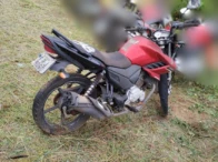 Miniatura 3 de YAMAHA/YS150 FAZER ED – 14/14 – Franca/SP