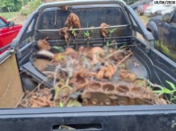 Miniatura 7 de I/Toyota Hilux SRV - 12/12 - Porto Velho/RO