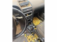 Miniatura 9 de CHEVROLET/ASTRA MILENIUM – 01/01 – Sidrolândia/MS