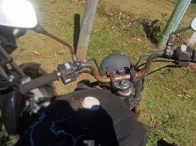 Miniatura 6 de YAMAHA/FACTOR YBR125 K – 08/08 – Campo Grande/MS