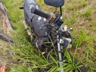 Miniatura 3 de HONDA/CBX 200 STRADA – 01/01 – Naviraí/MS