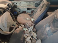 Miniatura 9 de VW/GOL SPECIAL – 02/02 – Nova Alvorada do Sul/MS
