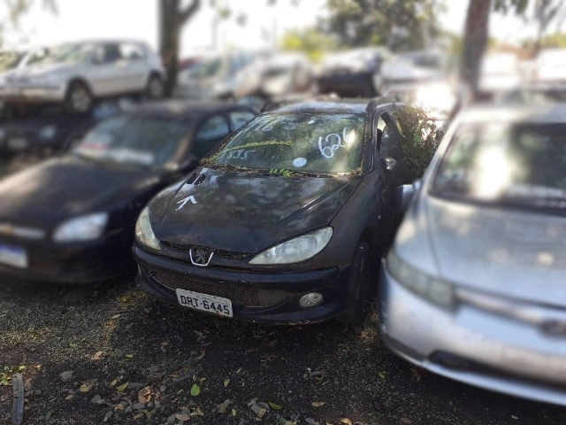 Peugeot/206 SW16 Feli FX – 05/06 – Catanduva/SP