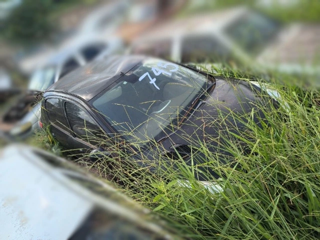 Peugeot/207HB XR S – 11/12 – Votuporanga/SP